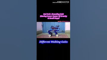 Arduino Quadruped Dog Robot | Walking Gaits Using Inverse Kinematics | #Shorts #ytshorts |