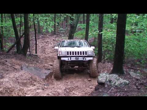 GSE 2009 -