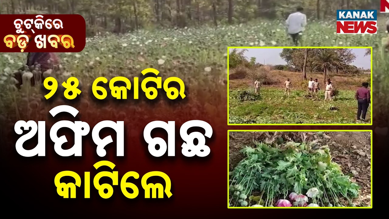 Chutkire Bada Khabar || 25th February 2026 || 6PM Digital Bulletin || Kanak News