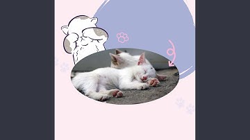 Pulsating Moods for Quiet Kitten