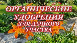 Зола, яичная скорлупа,  зеленое  и другие  удобрения.(Дача: урожай или отдых.Учимся совмещать. Ч.6)