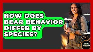 How Does Bear Behavior Differ By Species? - Exploring Campgrounds