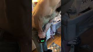 250Lb+ Grip Strength 💪