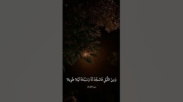 وَمِنَ اللَّيْلِ فَاسْجُدْ لَهُ || سورة الإنسان||القارئ إسلام صبحي