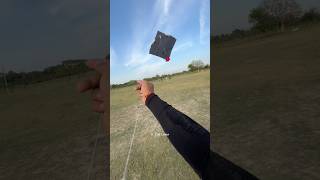 Kite Flying🪁