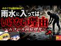 【2011】『小さな傷から壊死』竜巻災害で負傷した男性 傷口からカビの一種が侵入し内側から壊死し切除することに…水害などで冠水した水に触れてはいけない理由『ムコール菌症』解説（ﾘﾒｲｸ
