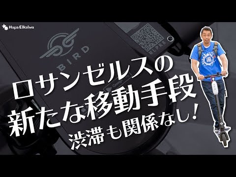 LA観光にもオススメ！レンタル電動スクーター（BIRD/LIME）の乗り方【#293】