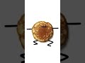 im a pancake
