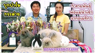 บุกฟาร์มกระต่าย ราชบุรี Bonny Rabbit Farm ฟาร์มที่การันตีด้วยรางวัลมากมาย 5 สายพันธุ์ พ่อแม่นำเข้า