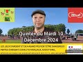 MAX 1-2-3 Turf vos pronostics Quinté+ du Mardi 10 Décembre 2024 ‎@max1-2-3turfvospronosticsh2