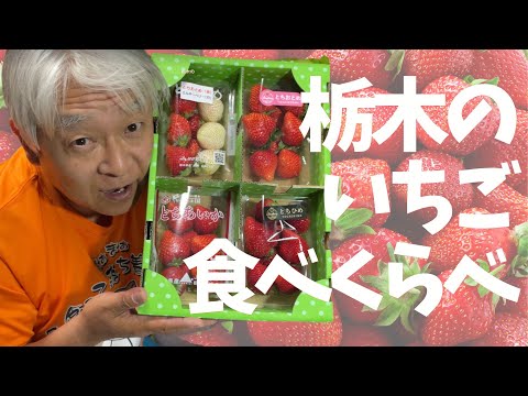 おいしいイチゴの食べくらべをしたよ！