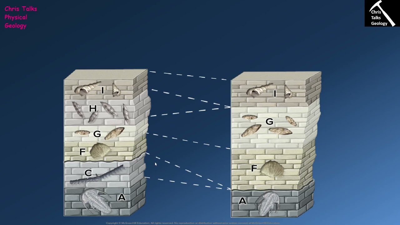 How Do Geologists Use Fossils To Determine Rock Ages?