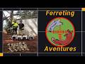 Rawson Ferreting 1#