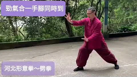 形意拳 劈拳 暗劲练法教学  #形意拳 #八卦掌 #太极拳#劈拳#xingyi #bagua #qigong #中国武术 #暗劲#xingyiquan#qigong#kungfu#chikung - 天天要闻