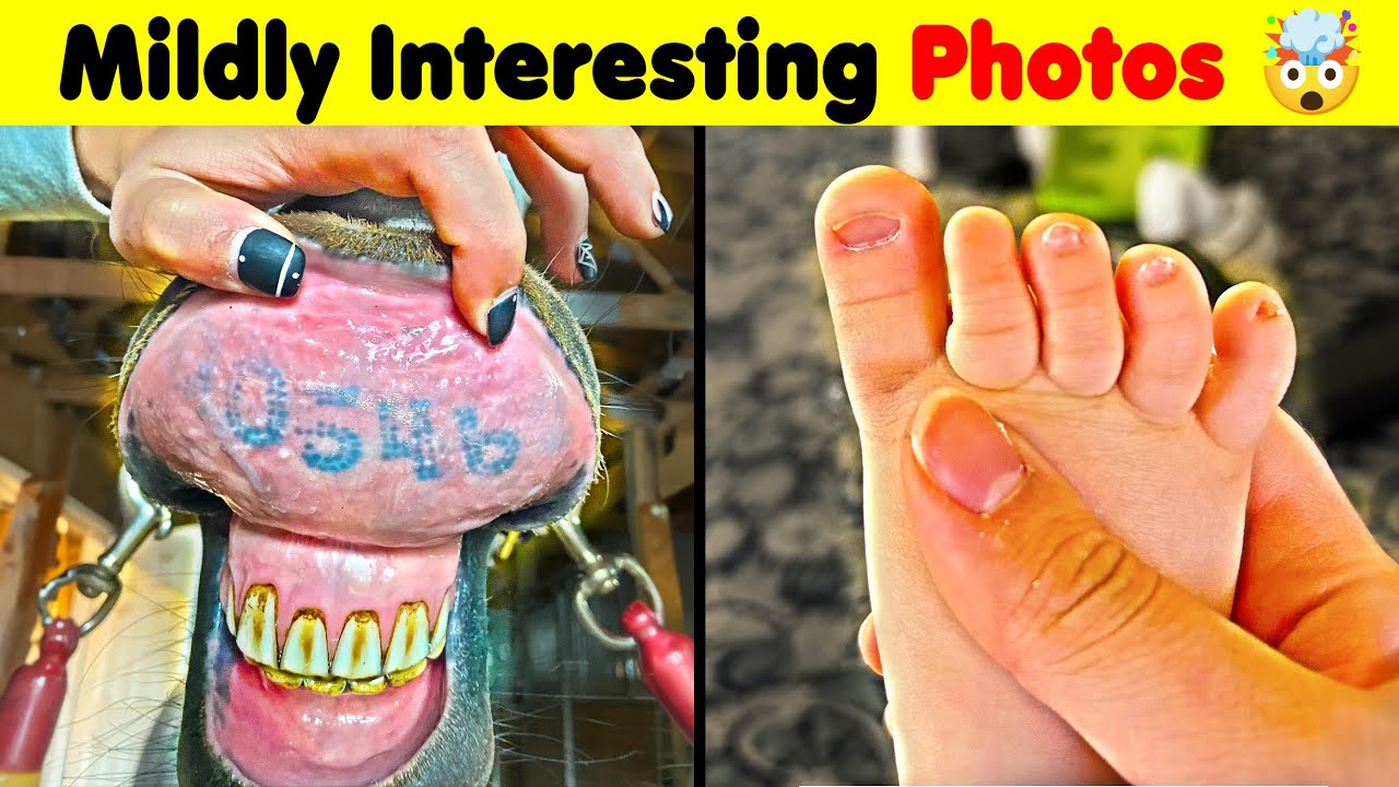 Mildly Interesting Photos From Around The World