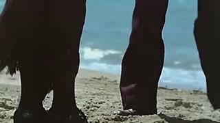 اجمل مشهد من فيلم اين عقلي ( ١٩٧٤ ) محمود يس - سعاد حسني