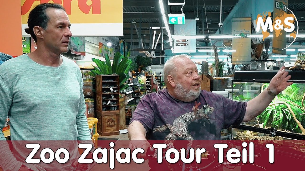 Zoo Zajac Tour Teil 1 | Stefan besucht Norbert | Reptil TV