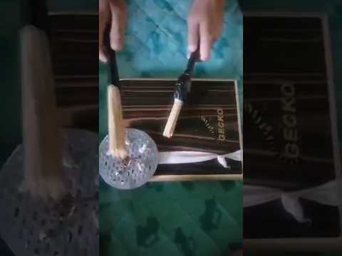 Gecko Travel Cajon