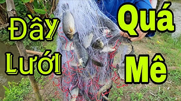 Đuổi Đầy Lưới Cá, Nấu Bún Nước Lèo Ăn Quá Ngon,Tự Tay Mình Làm !Toàn Miền Quê