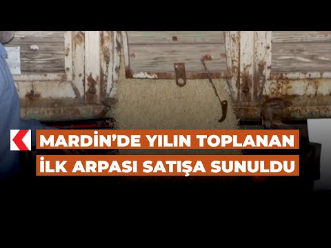 Mardin’de yılın toplanan ilk arpası satışa sunuldu