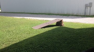 Mini Bmx Edit