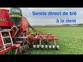 Semis direct de bl au semoir  dent dans repousses de colza  explications et conseils