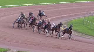 Vidéo de la course PMU PRIX DE CLOTURE DES TROTTEURS