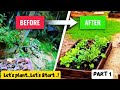 Part 1❤️💚Let's Plant, Let's Start! |  Land Clearing for Organic Gardening 🌱#part1 