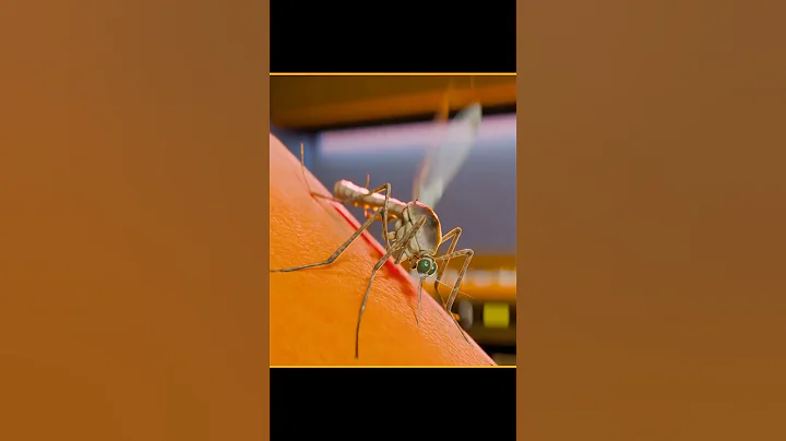 This How Much Blood Mosquito Drink In One Bite | Facts | #shorts