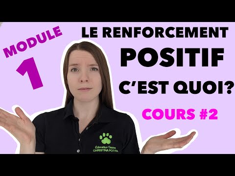 Vidéo: Renforcement positif et renforcement négatif pour la formation de chien