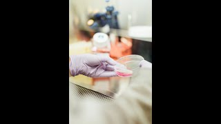 Staphylococcal Toxic Shock Syndrome