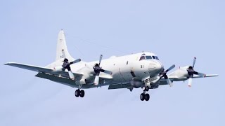 多用機P-3C 掃海.輸送機MCH-101 海上自衛隊 岩国航空基地