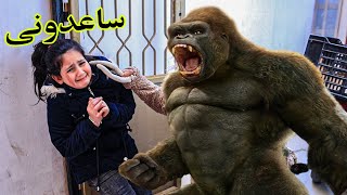 لما بنتك تجيب غوريلا على البيت 😱 واخواتها يخافو منها !!