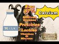 5. C’est quoi le lait ? @Elylachevrière