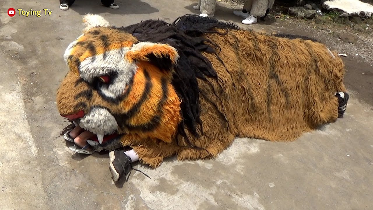 Barongan Macan Ngamuk Dapat Mangsa Live Waru Mranggen