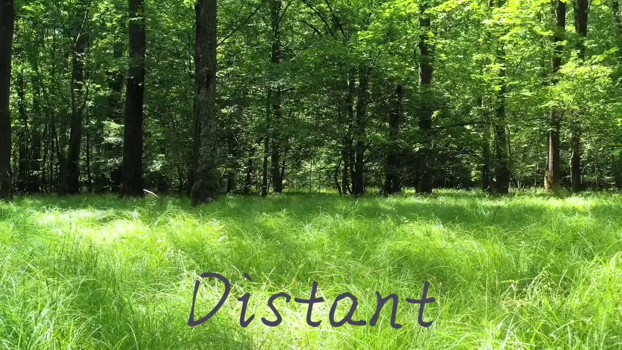 Distant auf YouTube ansehen Distant auf YouTube ansehen