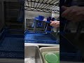 Blue Ocean Straw Solution 3