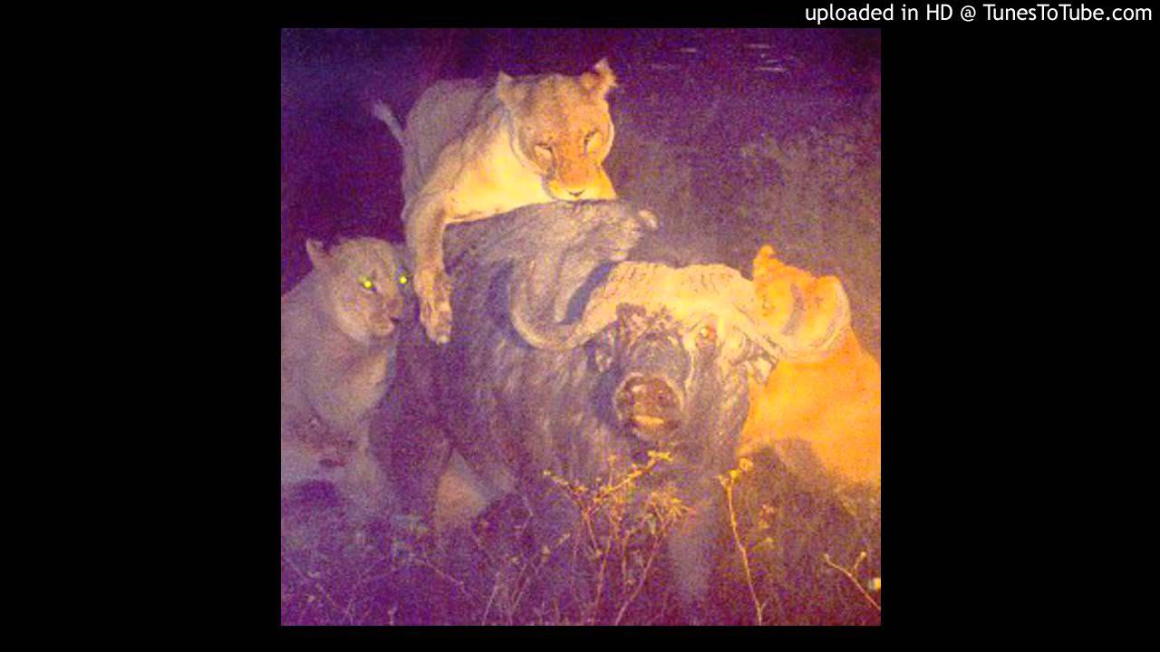 Watch Varnaline - Velocity on YouTube Watch Varnaline - Velocity on YouTube