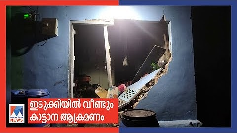 ഇടുക്കിയില്‍ വീണ്ടും കാട്ടാന ആക്രമണം; ഒരുവീട് ഭാഗികമായി തകര്‍ന്നു | Elephant Attack