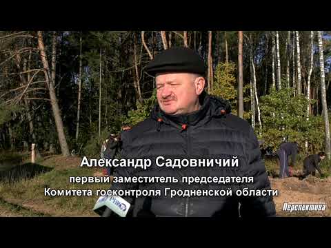 Комитет госконтроля Гродненской области принял участие в акции "Чистый лес"