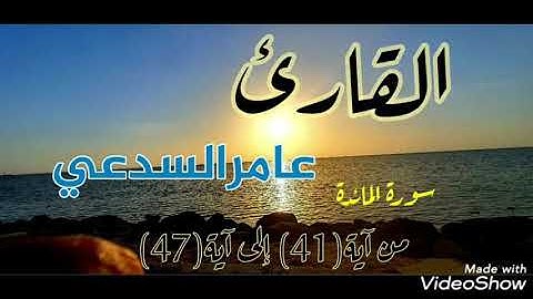 القارئ عامر السدعي تلاوة من سورة المائدة من آية 41 إلى آية 47