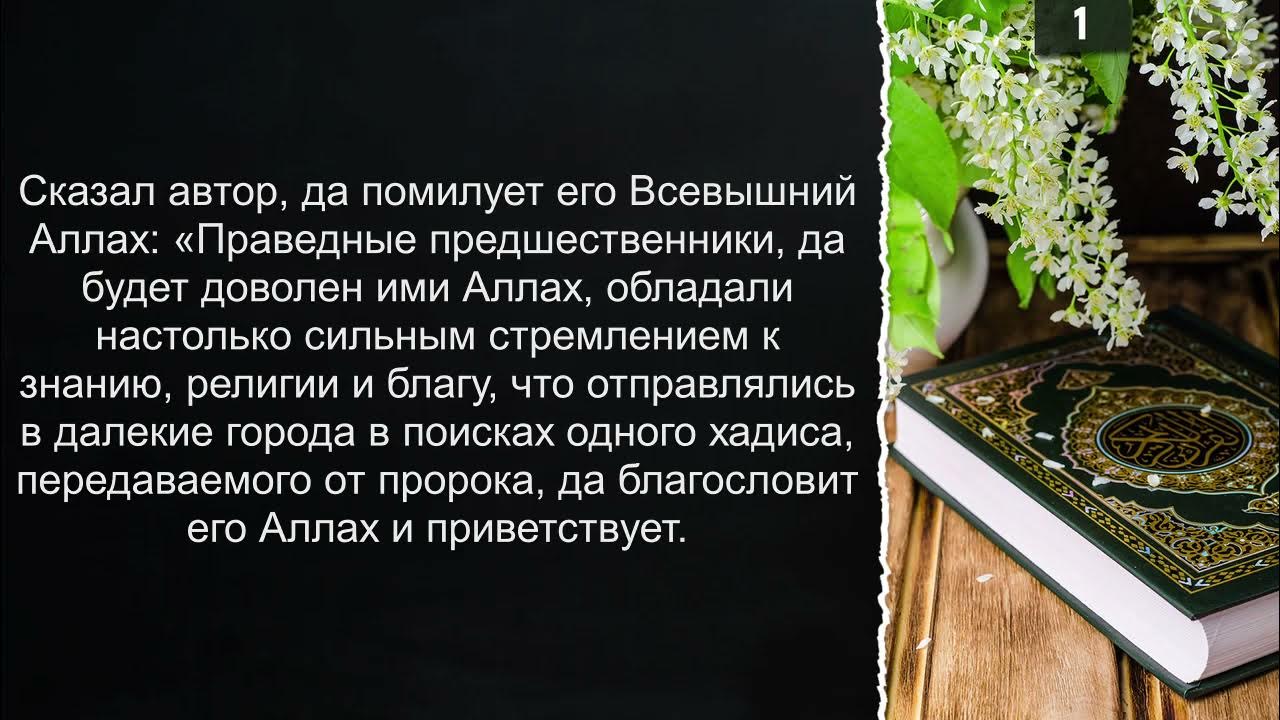 Хадисы абу ханифы. Хадисы абу ханифы