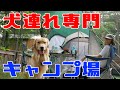 【夏キャンプ camp】愛犬と初めての本格キャンプしてきた！Romperdog Run&Site