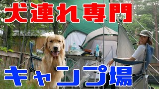 【夏キャンプ camp】愛犬と初めての本格キャンプしてきた！Romperdog Run&Site