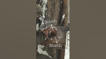 You can Navigate with TREE BARK !?