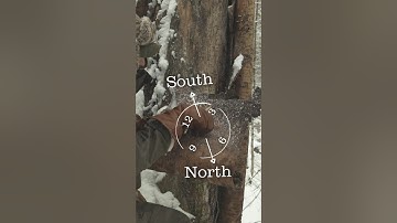 You can Navigate with TREE BARK !?