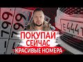 Закон о КРАСИВЫХ НОМЕРАХ! Вступил в силу?