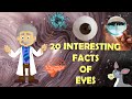 20 interesting facts of eyesconnect realityamazing facts