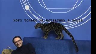 Леопард в гостях у HYDROP Леопард в гостях у HYDROP