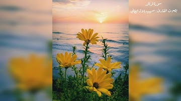 سورة قريش يصوت القارئ صهيب بلال